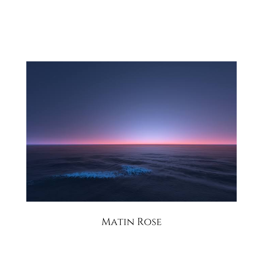 Matin Rose