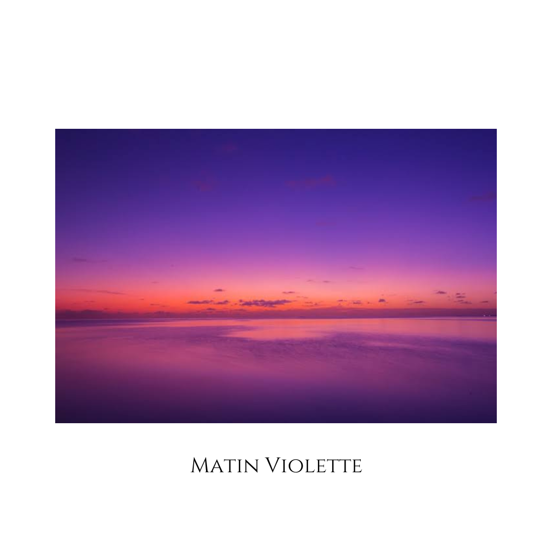 Matin Violette