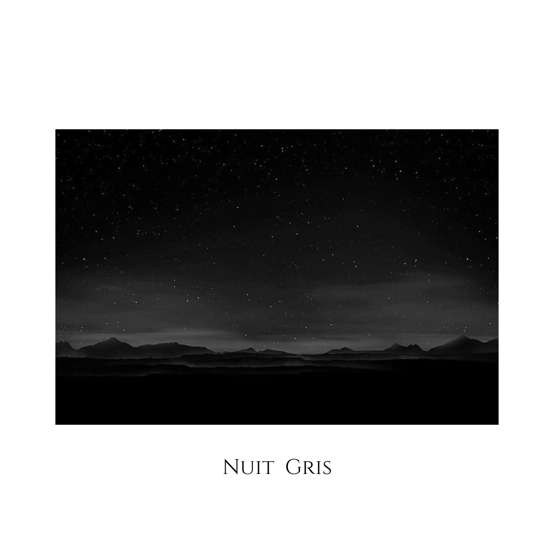 Nuit Gris