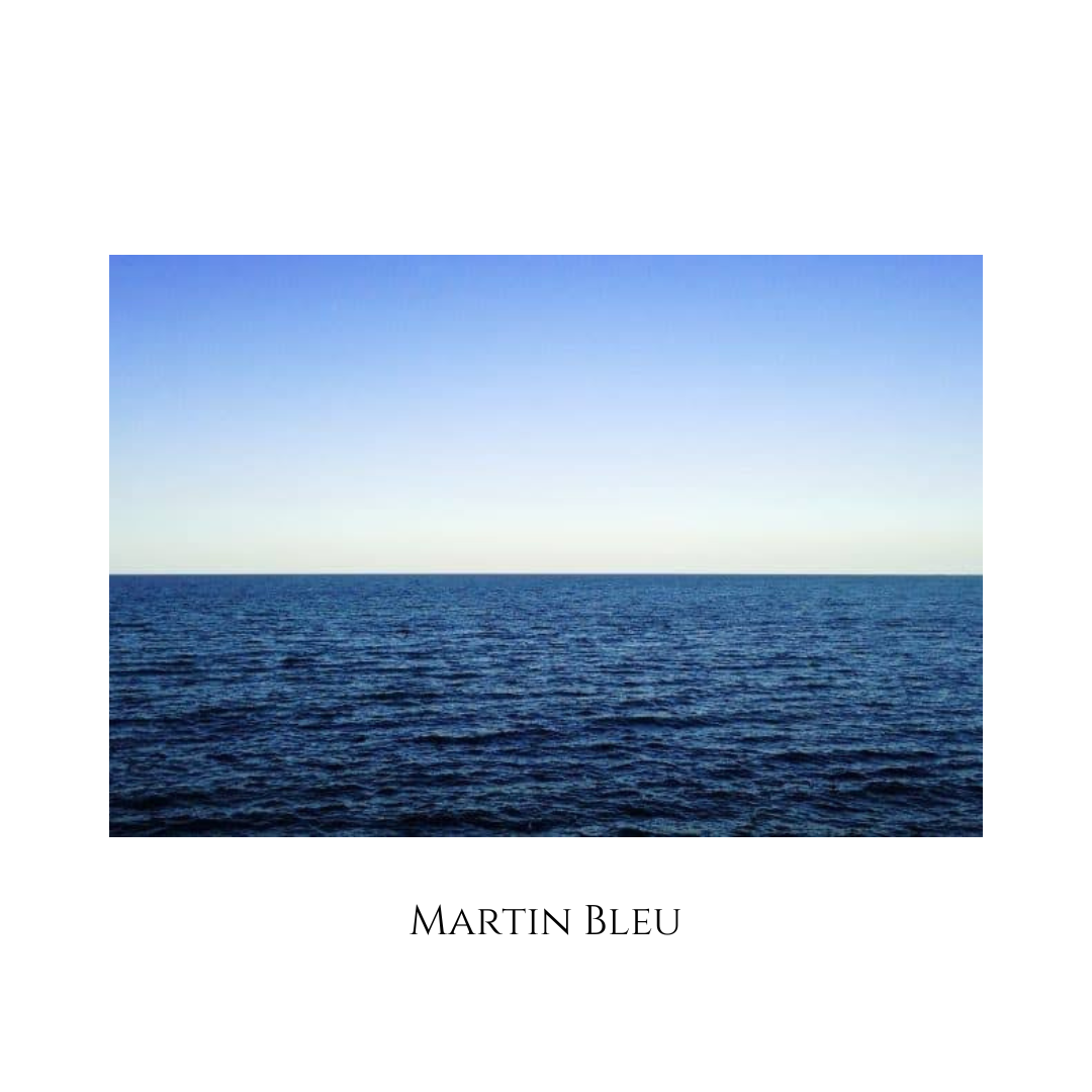 Martin Bleu